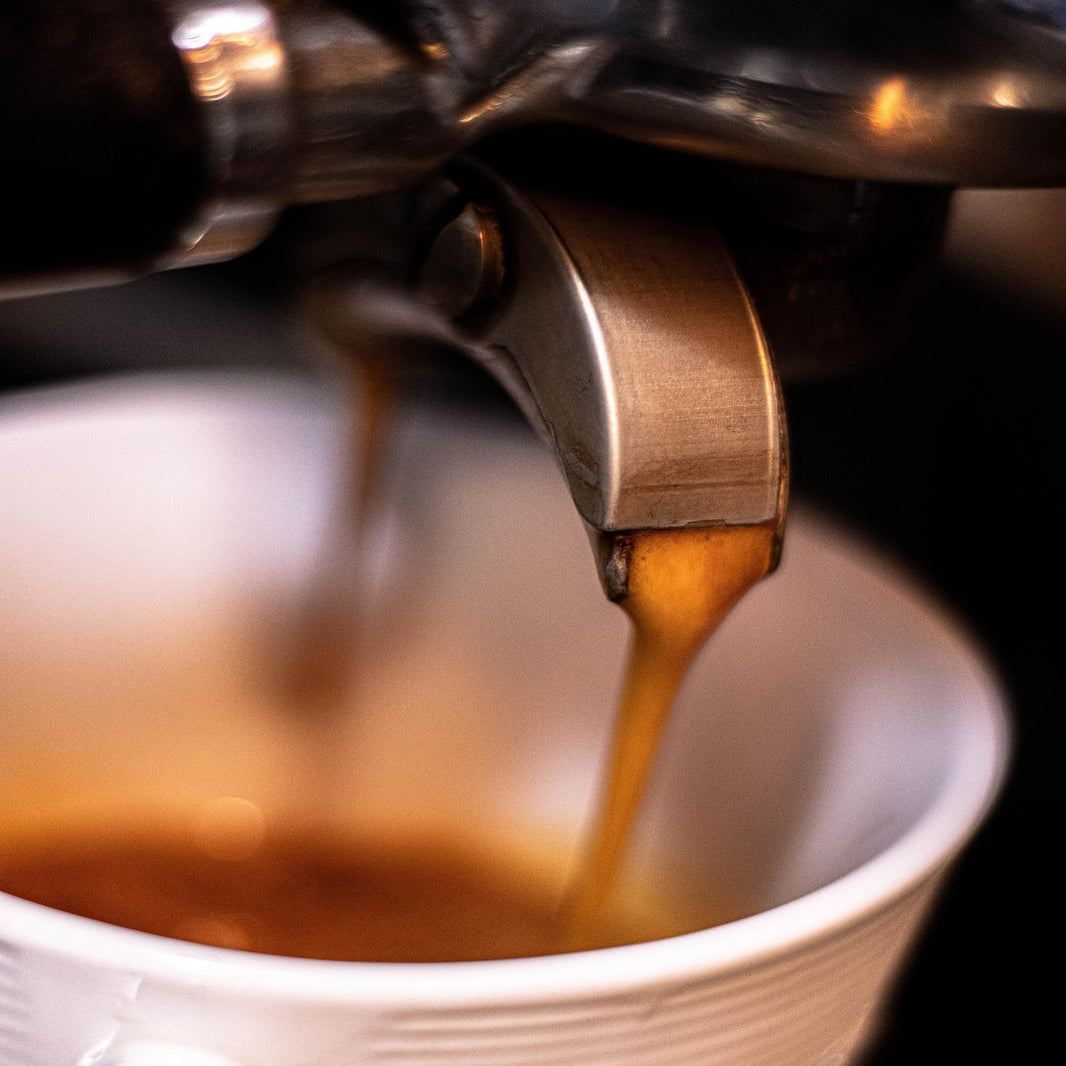 Barista feeling at home - Our course offerings