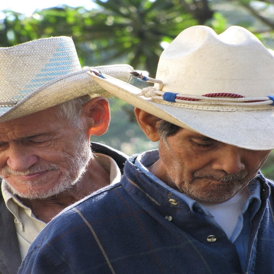 La Cascada - Honduras - Direktimport